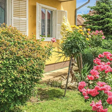 Apartment Two-bedroom In Keszthely
